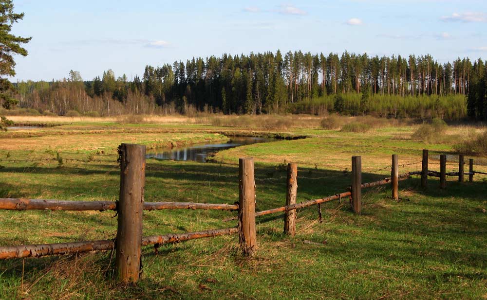 Село Новинок