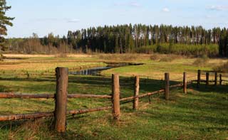 Село Новинок