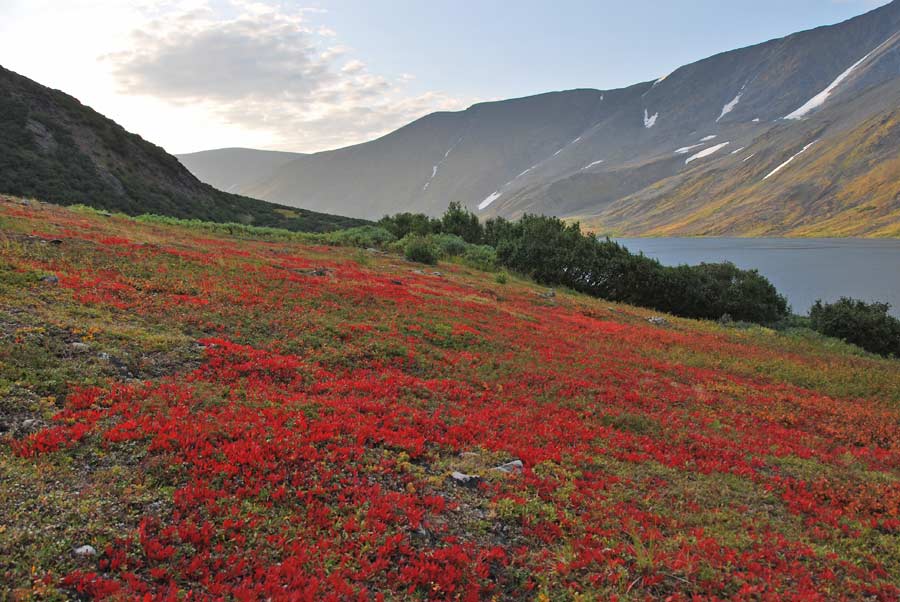 Осень на Хадате