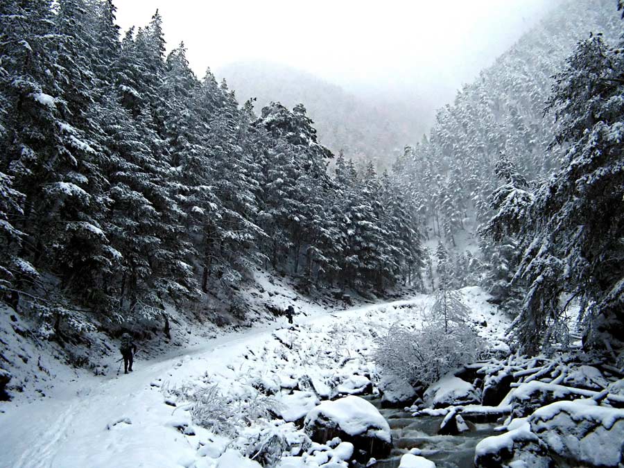 Уллухурзук