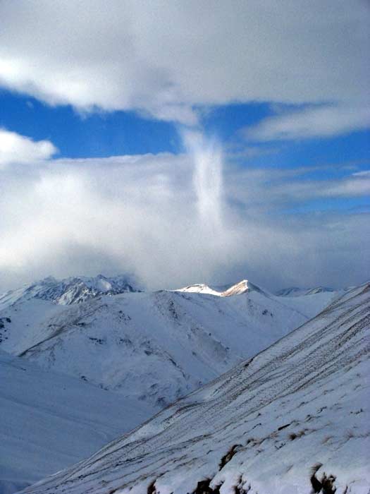 (фото С.Л.)