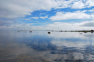 Действительно Белое море
