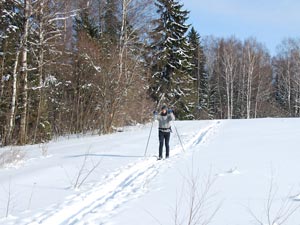 13:28:25