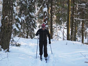 13:50:34