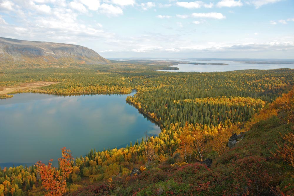 Осенний лес под сбросами