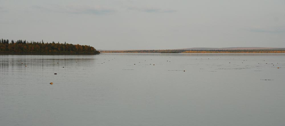 Поплавки на воде - это лемминги