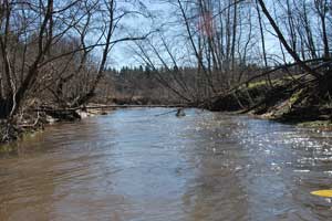 Река бодро журчит по перекатам, накрытым большой водой.