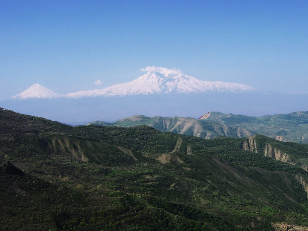 Арарат