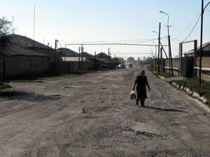 Варденис