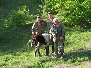 Утренний дозор