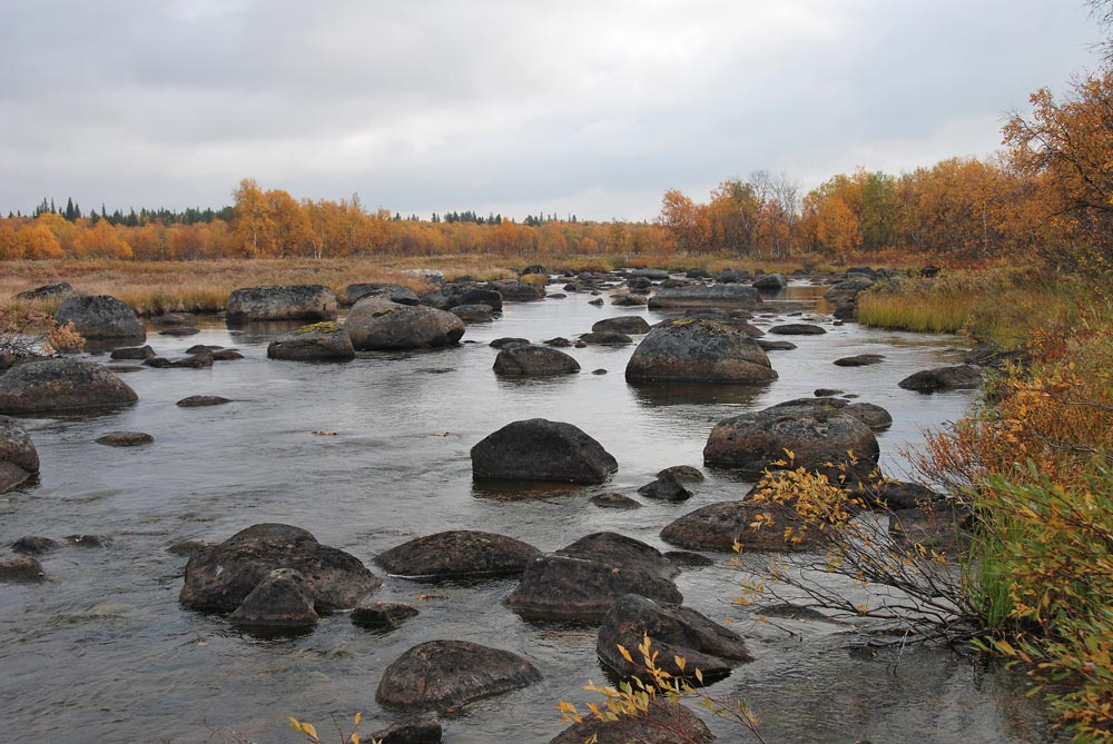 Леньявр без воды.