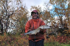 Щука сильно отвлекает от кумжи
