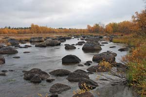 Леньявр без воды.