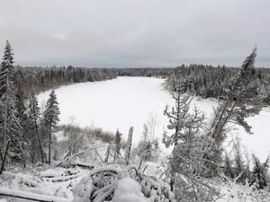 Яренга