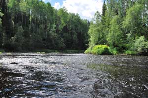 Против солнца вода кажется расплавленным металлом