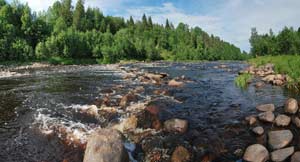 Большой порог в малую воду - просто горка камней