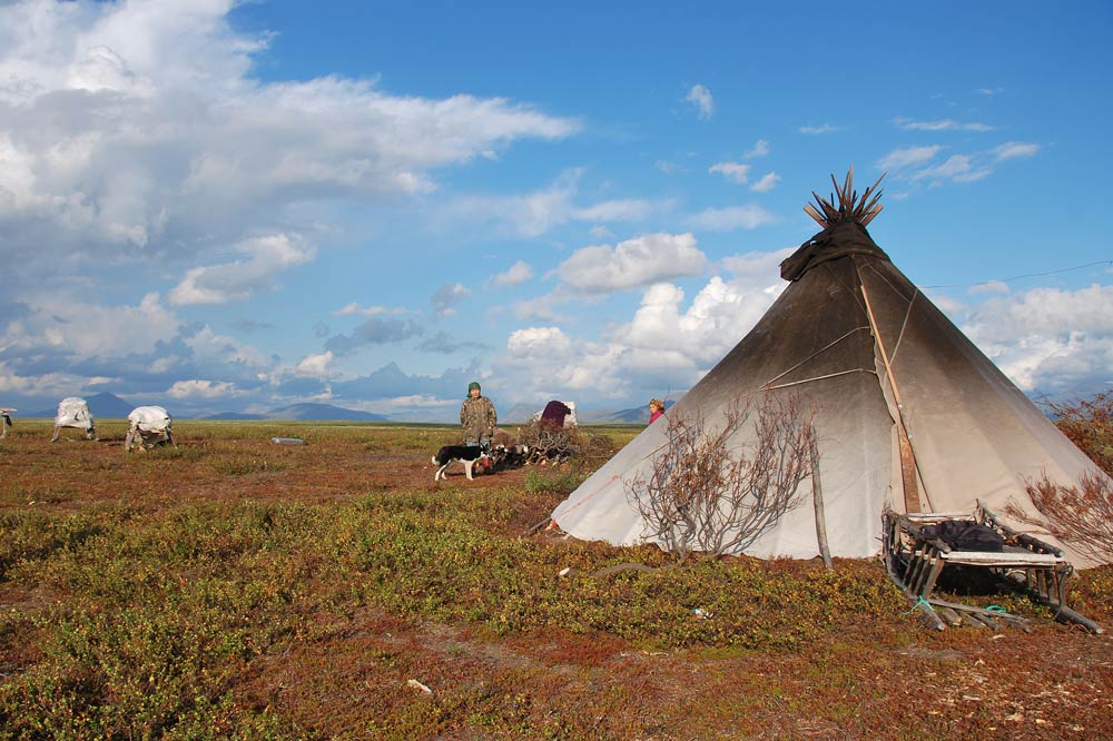 Очень информированная бабушка с внучкой живут здесь