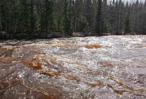 Веселая весенняя вода