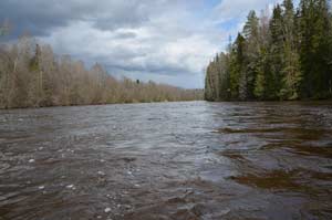 Весенняя вода Паши