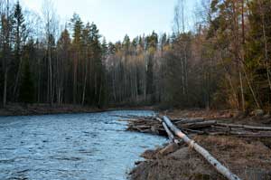 Идем гулять, пока солнце еще не село