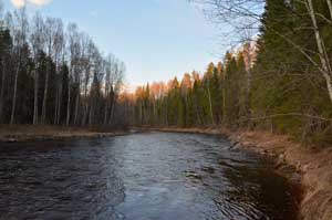 Солнце совсем низко