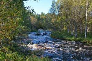 Сонрека, мелкая и каменистая. Одна радость, что пресная