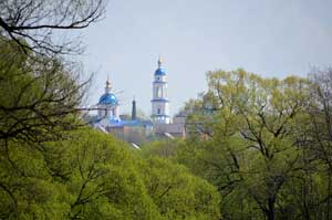 В телевик их видно лучше. А ближе - их заслоняет буйная зелень.