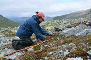 Цветник на осыпи