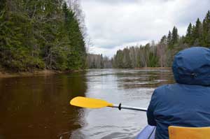 Паша везде хороша, но после Городка - в особенности.