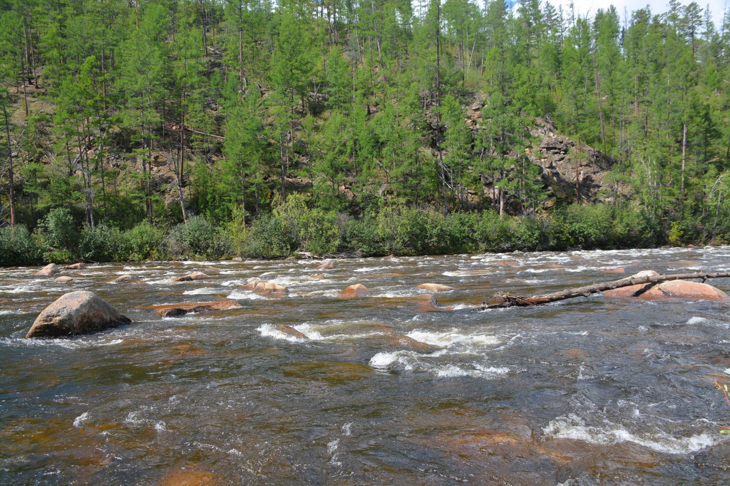 В обычную воду здесь можно провозиться полдня.