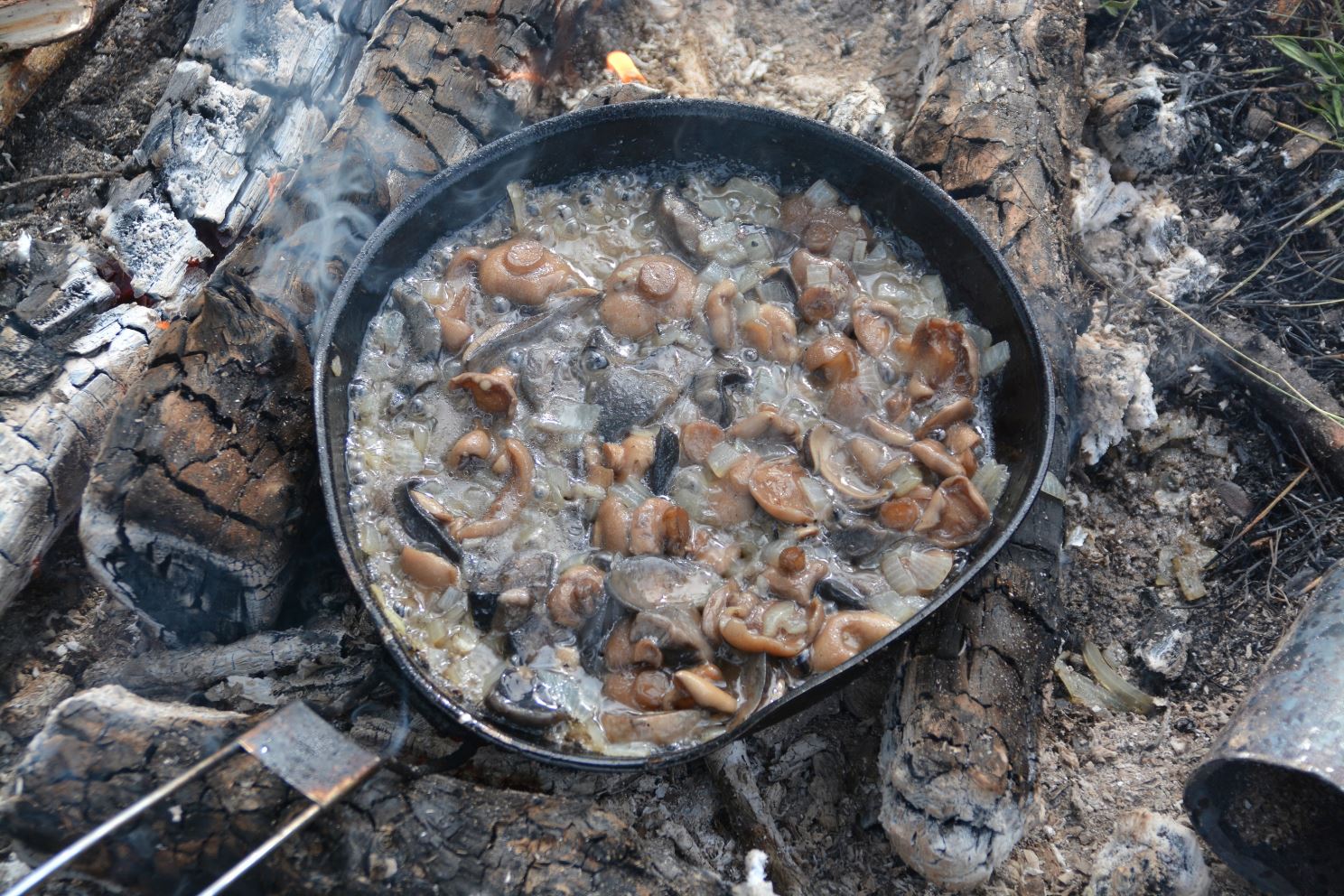На сковородке лиственничные маслята от обычных не отличаются ничем.