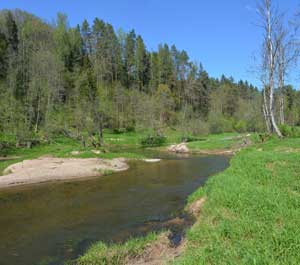 Самое красивое место Жижалы, пока в реке есть вода.