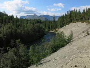 Кунийок