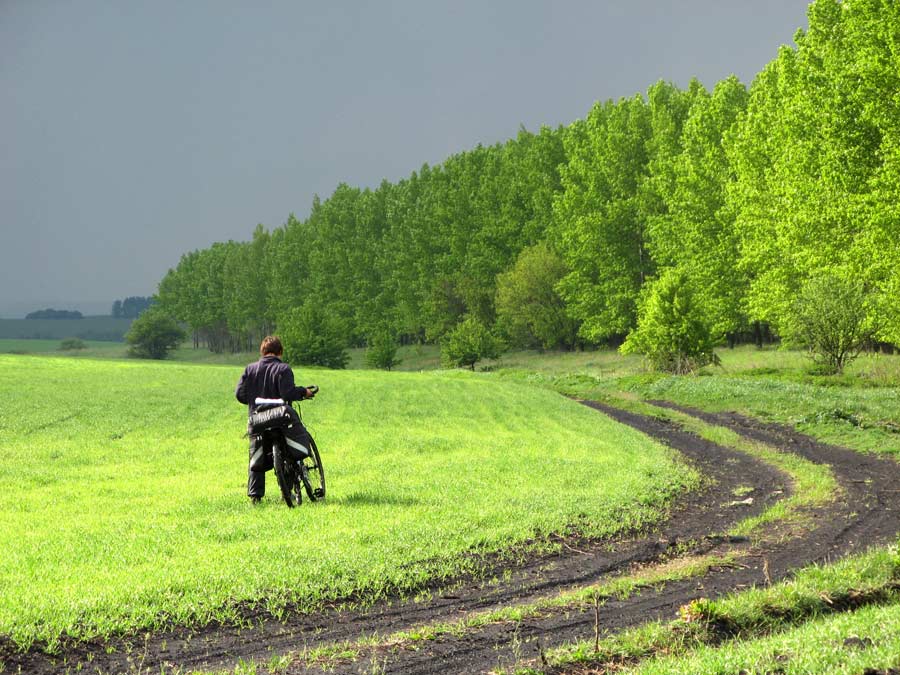 Иногда дождь прекращается, и проглядывает солнце. Тогда тащить велосипед становится приятнее.