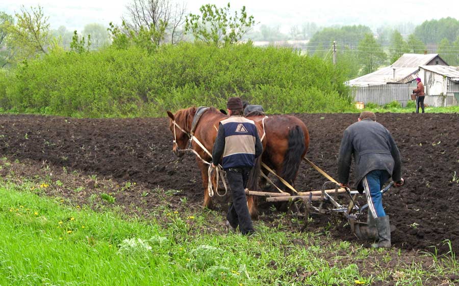 Е но еще и пашут