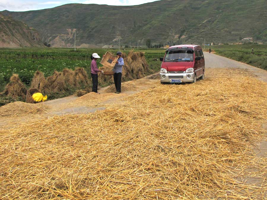 Threshing under wheels