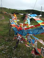 Bright colorful flags are hanging everywhere where Tibetans live.