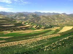 Fields cover every square meter of soil in more densely populated areas. Even mountains couldn't withstand human activity and offered their slopes to farmers' hoes.