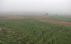 Туман покрывает равнину большую часть времени и прячет прямое солнце, даже если погода хорошая. Оказавшись в Пекине, я сперва решил, что это смог, и отчасти это была правда. Но и в сельской местности видимость как правило невысокая. Кажется, будто эта земля не хочет себя показывать, и все время что-то скрывает.