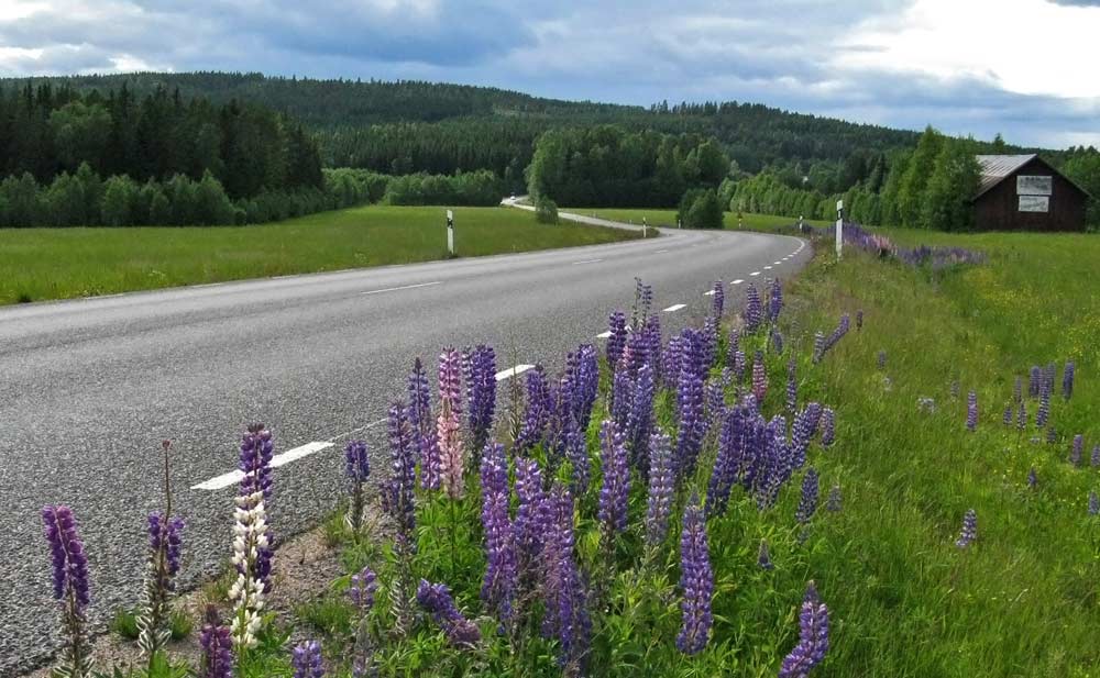 Highway 241